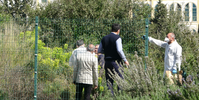 Hastane yerleşkesinde gizemli kemikler