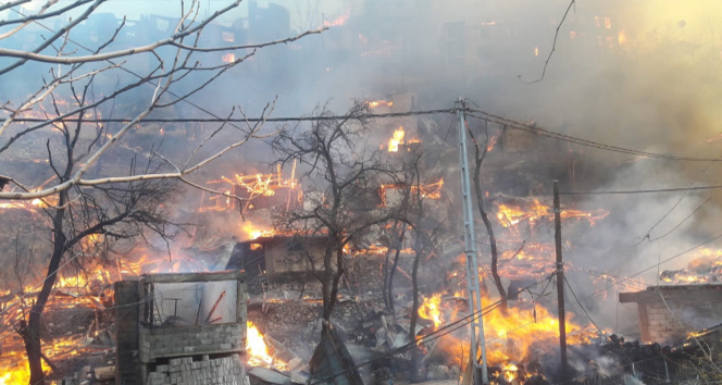 Artvin&#039;in Yusufeli ilçesi Dereiçi köyündeki yangın kontrol altına alındı