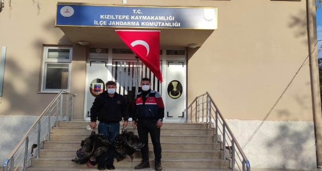 Kızıltepe’de kümes hırsızları, 27 kamera takibe alınarak yakalandı