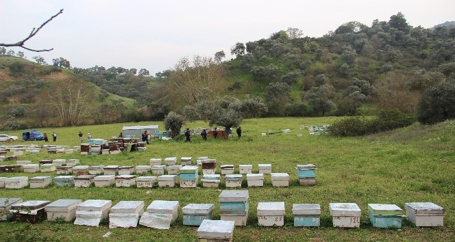 Hırsızlar arı kovanlarına dadandı, Arıcılar Birliği uyardı