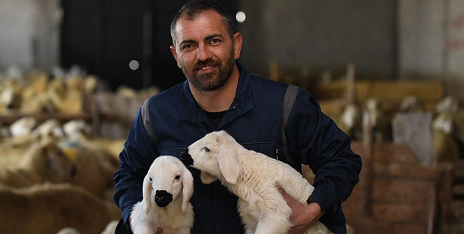 10 yıllık öğretmenliği bırakarak kuzularına geri döndü