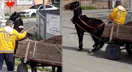 Ata keserli işkence