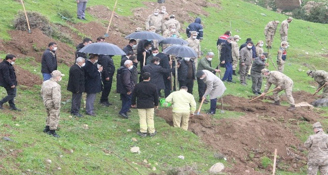 Suriye sınırında yağmur altında fidanlar toprakla buluşturuldu