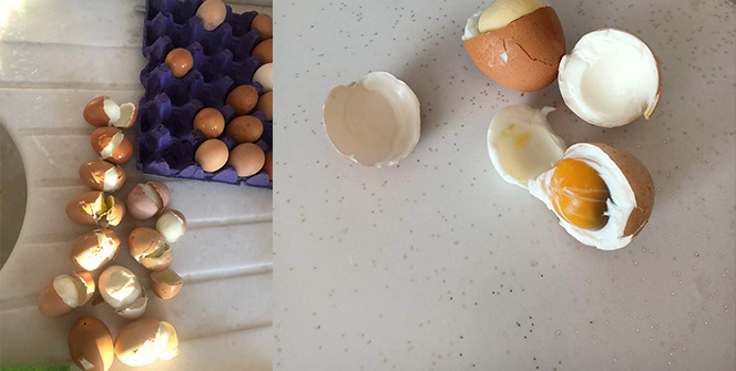 Sattığı yumurtalar haşlanmış çıktı