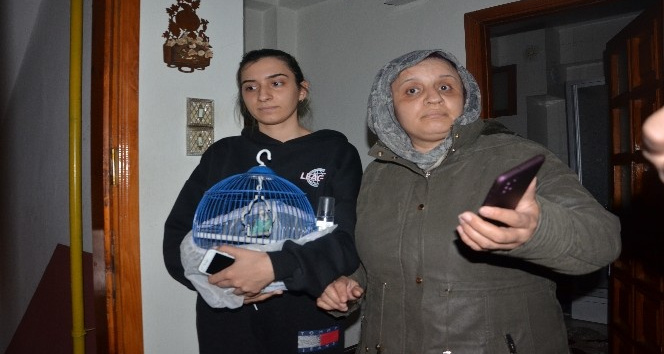 O mavişini, annesi evini düşündü