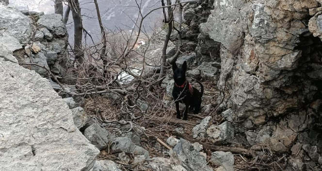 PKK'l� ter�ristlere ait 2 el yap�m� patlay�c� jandarma ekiplerince imha edildi