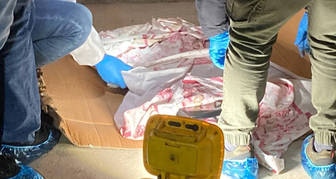 Rahatl�kta s�n�r tan�mayan h�rs�z soydu�u bina sakinleriyle sohbet etti