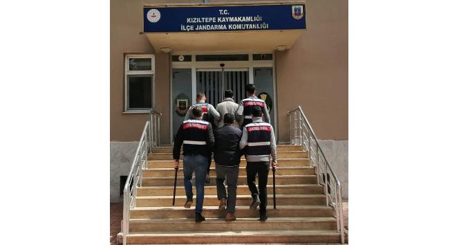 Mardin’de firari zanlılar jandarma tarafından yakalandı