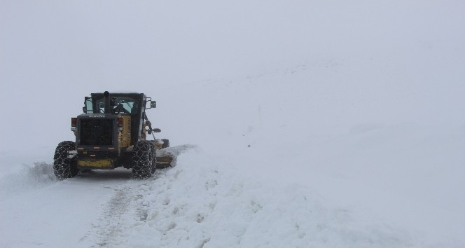 Bingöl’de karla kapanan 67 köy yolu ulaşıma açıldı