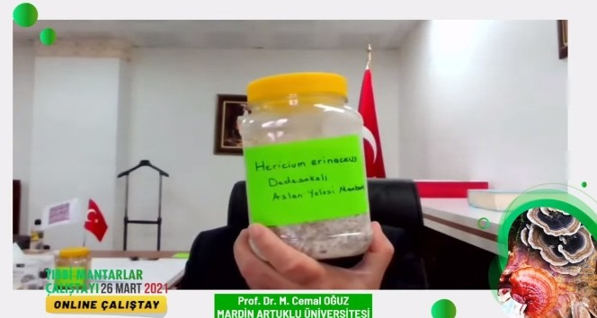 MAÜ’den tıbbi mantarlar çalıştayı