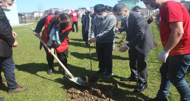 Bugünden yarına bir meyve