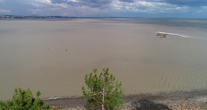 Denizde organik kirlilik