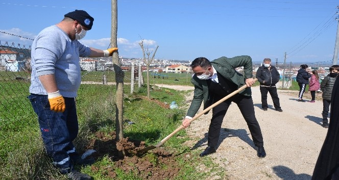 Biga Yeniceköy mahallesi ağaçlandırıldı