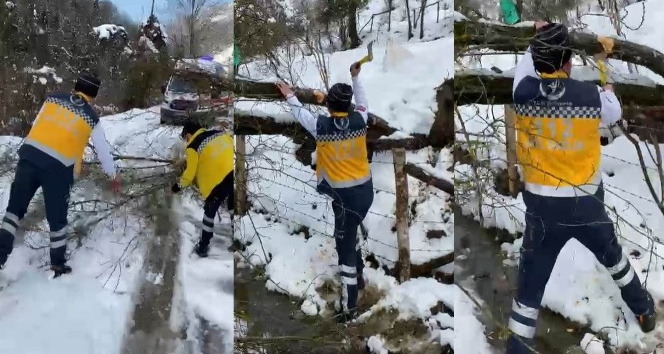 Vakaya giden 112 ekibinin yola devrilen ağaçla mücadelesi