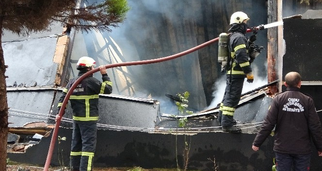 Ordu’daki yangını söndürme çalışmaları sürüyor