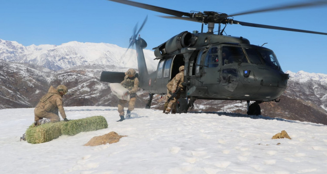 Tunceli’de yaban hayvanlarına helikopterle yem desteği