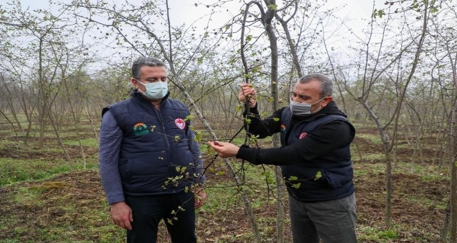 Vali Sonel: “Fındıkta verim ve kaliteyi artırmak için projeler uyguluyoruz”