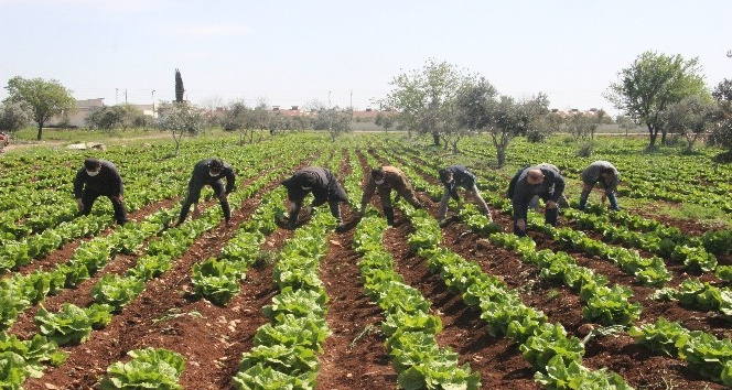 (Özel) Sınır kentinde korona tedbirleri arttırılıyor