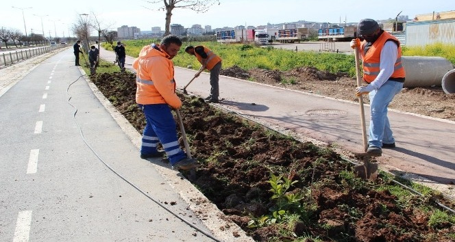 Park ve yeşil alanlarda çalışmaları hız verildi
