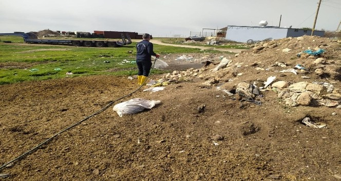 Mardin’de sinek ve haşerelere karşı ilaçlama çalışması başlatıldı