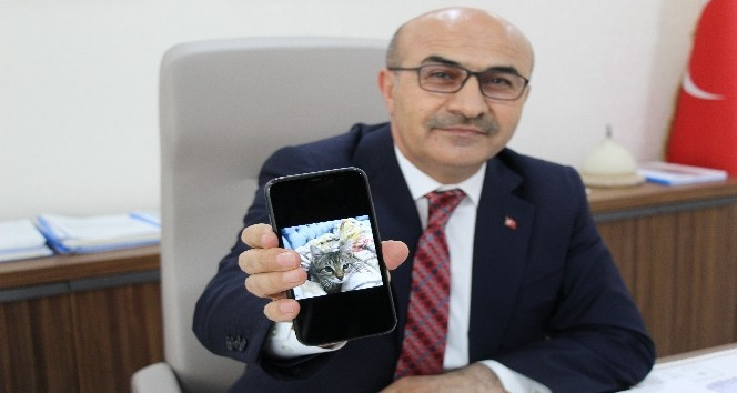 Bombalı saldırısından kızının kedisi sayesinde kurtulan vali, teröristi Mardin’de yakalattı