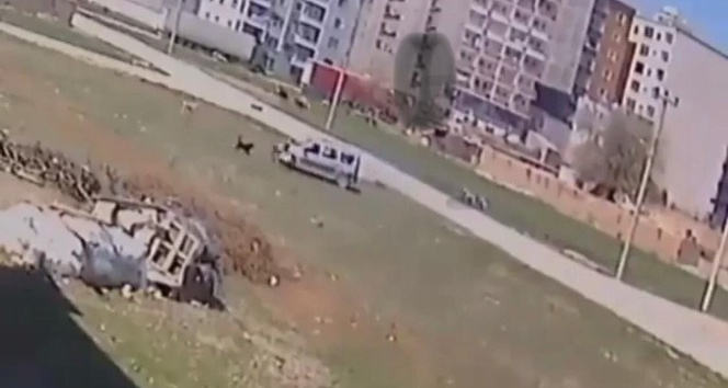 Sokak köpeklerinin çocuğa saldırma anı kameralara yansıdı