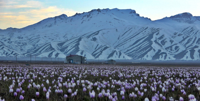 Yüksekova’da iki mevsim bir arada