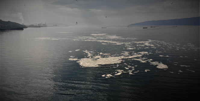 Beyaza bürünen Gemlik Körfezi korkuttu
