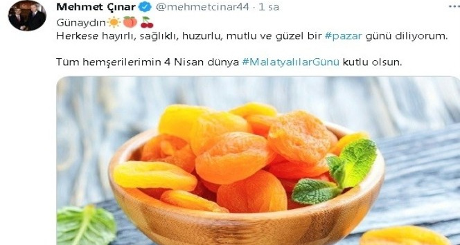 Malatyalılar günü kutlamaları sanalda