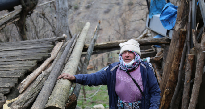 Artvin Ortaköy'de evi yanan yaşlı kadın 'Ben nerede kalacağım' demişti, Vali Yardımcısı aileyi ziyaret etti
