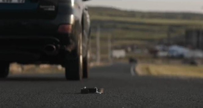 Mardin’de ’4 Nisan Sokak Hayvanlarını Koruma Günü farkındalık dolu olsun’ sloganıyla kısa film çekildi