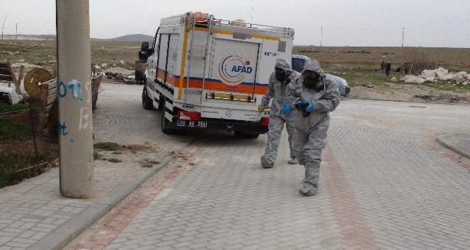 Taşınacakları evden keskin koku gelince pencereden atlayarak yardım istedi