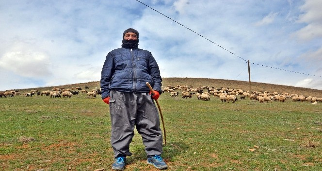 Yüksekova’da karların erimesiyle koyunlar meralara çıkmaya başladı