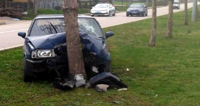Samsun’da otomobil ağaca çarptı: 1 yaralı