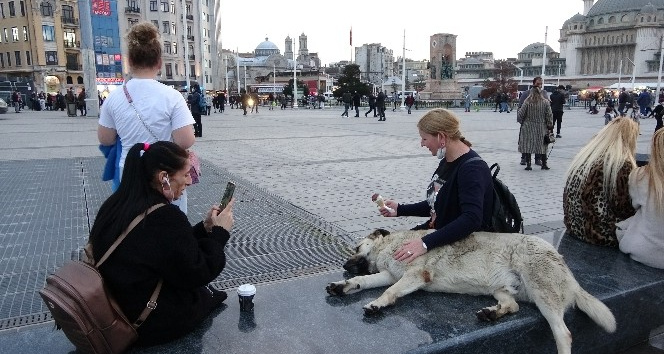 Taksim’de köpeğin turistlerle dondurma keyfi