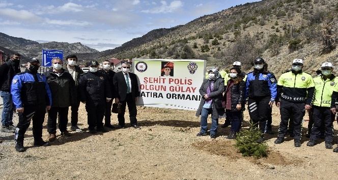 Gümüşhane’de Polis Haftası kapsamında fidan dikildi, lokma dağıtıldı