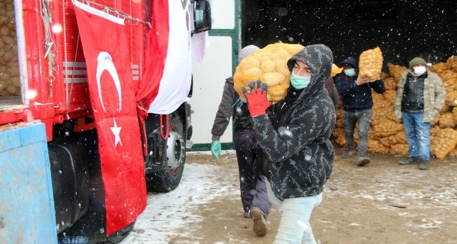 TMO, Nevşehir’de patates alımlarına başladı