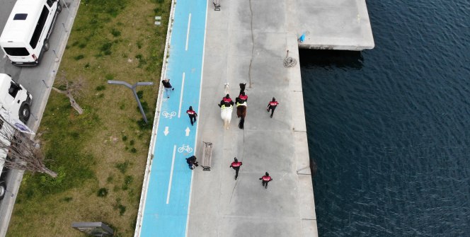 Bebek sahilinde şaşırtan görüntüler yaşandı, turistler telefonlarına sarıldı