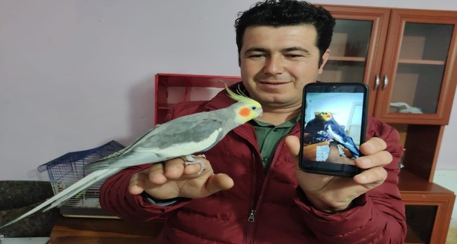 Her sabah papağan Bitik’in söylediği “Ölürüm Türkiye’m” parçasıyla kalkıyorlar