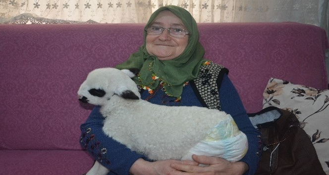 Oğlunun aldığı "Kıvırcık" onu hayata bağladı