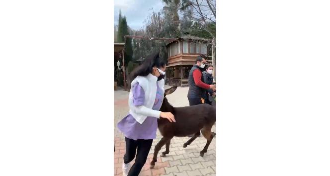 Zeynep Öztürk’ün sıpayla imtihanı