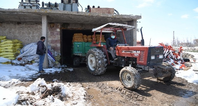 Kayseri’deki patatesler 81 ile gönderiliyor