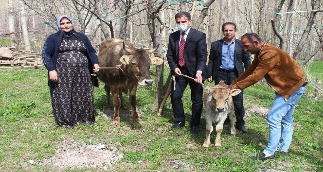 Bakan Pakdemirli’den, Diyarbakır annesine inek ve buzağı