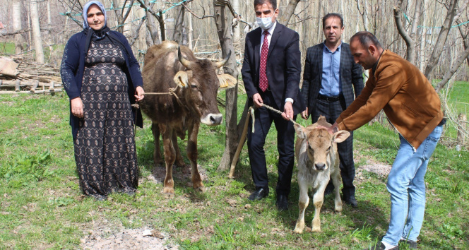 Bakan Pakdemirli’den, Diyarbakır annesine inek ve buzağı