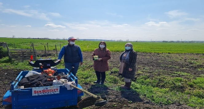 Kırklareli’nde kestane balkabağı demonstrasyonları kuruluyor