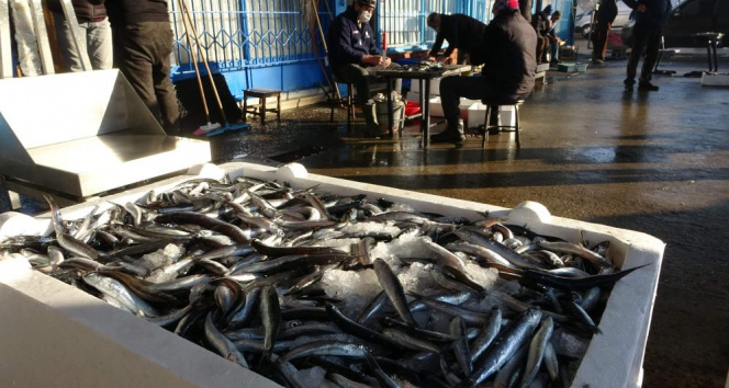 Trabzon’da son 7 yıldaki balık miktarı 40 milyon kilograma yaklaştı