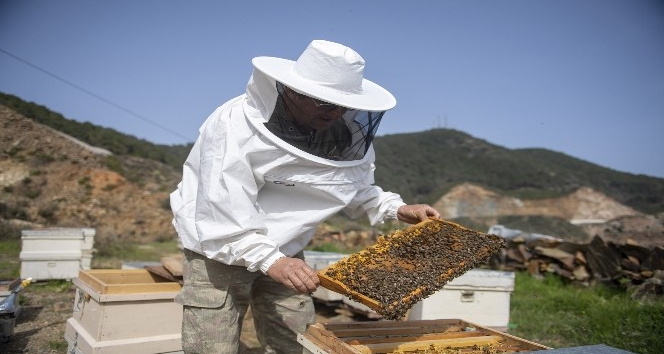 Mersin’de 708 arı yetiştiricisine belediyeden ekipman desteği