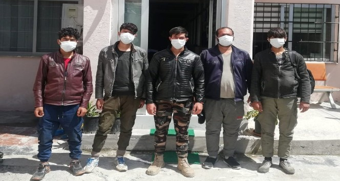 Mültecileri İstanbul diye Osmaniye’de otobüsten indirdiler