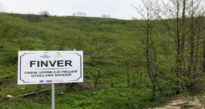 FINVER tam gaz devam ediyor