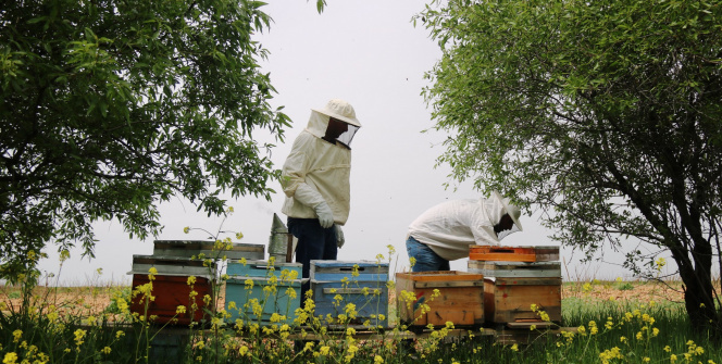20 yıl sonra keşke dememek için başladılar, şimdi siparişlere yetişemiyorlar!